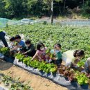 관호초등학교 이미지