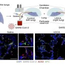 코로나 재확산 현실화… 예방에 효과적인 ‘이것’ 꼭 챙겨야 이미지