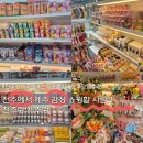 전주랑제주랑 | 전주랑 제주랑 소품샵 리뷰 - 전주 여행에서 꼭 들러야 할 곳
