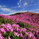 만물목장 이미지