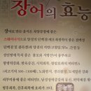 황금산숯불장어