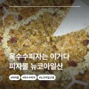 클럽밸런스5 일산마두점 | [마두역맛집] 피자몰 뉴코아일산점 신메뉴 더블옥수수피자 솔직후기