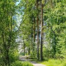 (주)알베로디자인 이미지