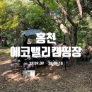 #4 [홍천 에코밸리 캠핑장] 놀거리, 볼거리가 다양했던 캠핑장