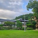 장성소고기 이미지