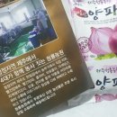영이농장 | 빨간 양파즙 효과 아니까 더 먹고 싶어요~~