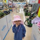 옥정 메타세콰이아길 이미지