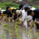 송포로 이미지