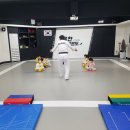 움찬태권도 이미지