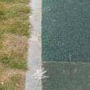 성내4교 아래 이미지