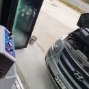 콩이카센타 이미지