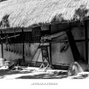 조원관광진흥(주) 이미지