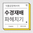 그린파이브 이미지