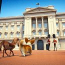 프린스펫 이미지