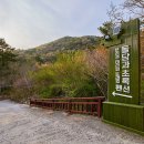 돌담과 초록 이미지