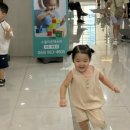 스콜라몬테소리세종새롬점 네이버블로그