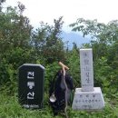 호암(주) Daum카페