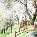 안산천서로2 이미지