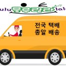 네버랜드어린이집 이미지