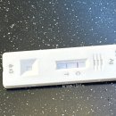 청돌집 | 25년 9월 일상 (1)