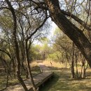 장항가든 이미지