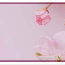 선릉쉼표정신건강의학과의원 이미지