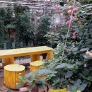 율암농장 이미지