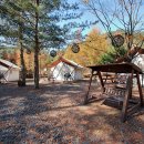 켄싱턴 호텔 평창 글램핑 빌리지 이미지