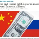 러시아와 중국, 공식적으로 "새로운 글로벌 준비 통화" 발표 이미지