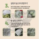 약안친 귤청 담는 풋(청)귤 주문 받습니다 잔류농약 0입니다 (시험성적서첨부) 이미지