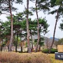 신지생태공원 이미지