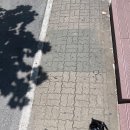 연이김밥천국