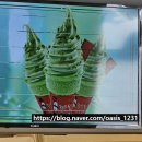 담양 죽녹원에서 먹을 수 있는 간식 맛집 김순옥 댓잎 찹쌀 도너츠 종합세트 C