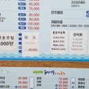 도시어부&미쓰물회 이미지