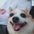 남태령숯불구이 이미지