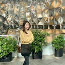 (유)라인디자인랩 이미지