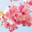 양재천 수변무대5 이미지