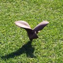 사우스케이프오너스클럽 | 사우스케이프 오너스클럽 시설과 경치 (2024. 11. 24.)