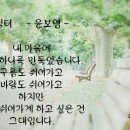 풀향 이미지