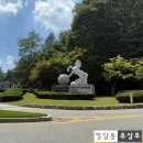투하트호텔-워터파크점- | [홍천 소노펠리체cc 이스트] 팔봉산 뷰 인코스와 아웃코스 18홀 모두 소개
