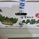 영천 스타농원 이미지