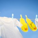 참 좋은 세탁 이미지