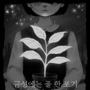 금성컴퍼니