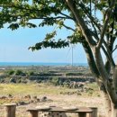 금빛 민박 이미지