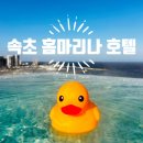 찬스아이 수영장 | 속초 가족여행, 수영장이 만족스러웠던 홈마리나 호텔