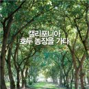 동아농장 이미지