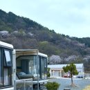 5629 | 창원 구산면 오션뷰 카라반 마산 헤리티지글램핑 R1 솔직 후기
