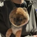 몽실멍실 이미지