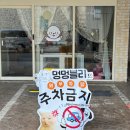 대구 수성구 스트레스없는 애견미용실 멍멍블리 포메라니안 미용 리얼 후기