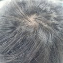 건강의향기 | 약산성 샴푸 향기좋은 추천템 사용 후기